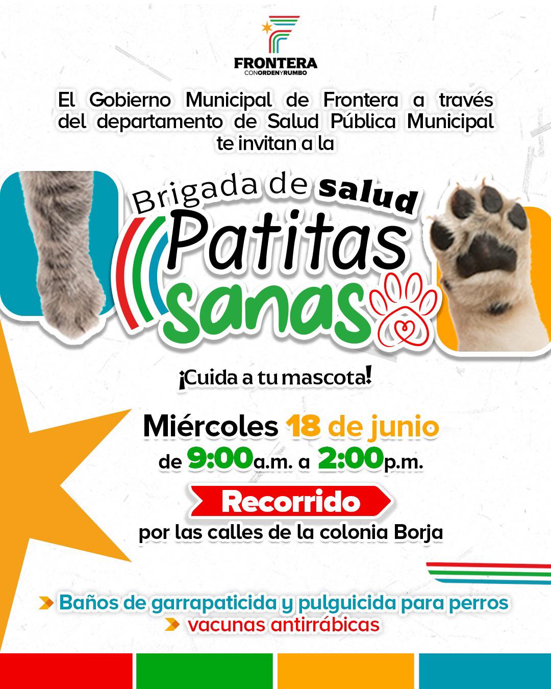 gatitos